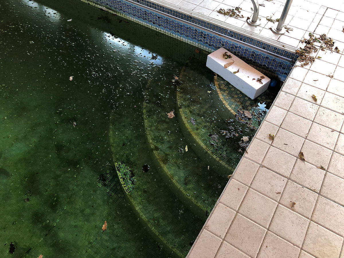 Indoor Swimming Pool Refurbishment, Brentwood, Essex